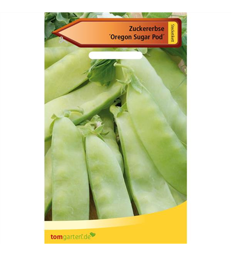 Zuckererbse 'Oregon Sugar Pod'