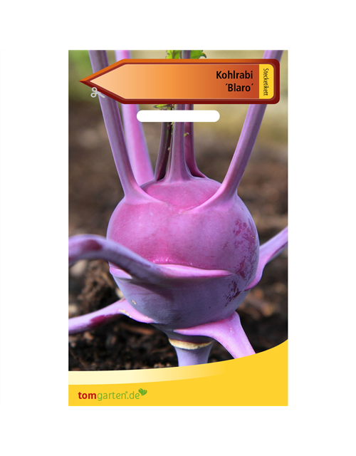 Kohlrabi 'Blaro'