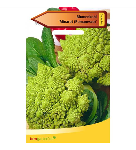 Romanesco-Blumenkohl 'Minaret'