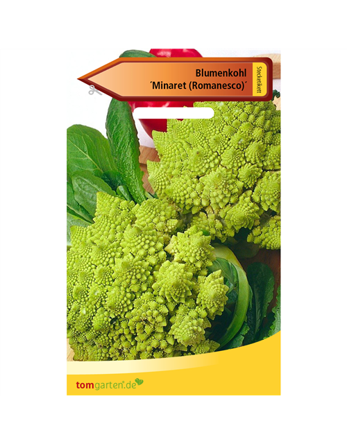 Romanesco-Blumenkohl 'Minaret'