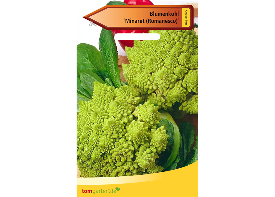 Romanesco-Blumenkohl 'Minaret'