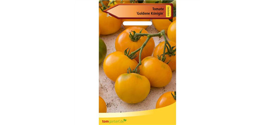 Tomate 'Goldene Königin'