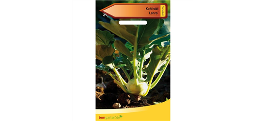 Kohlrabi 'Lanro'