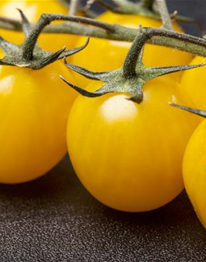 Cherrytomate 'Yellow Clementine'