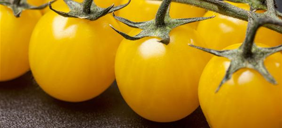 Cherrytomate 'Yellow Clementine'