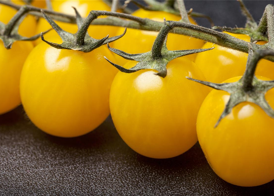 Cherrytomate 'Yellow Clementine'