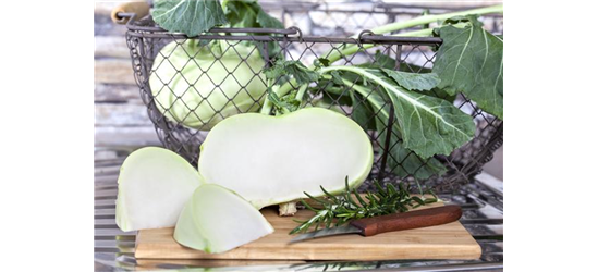 Kohlrabi 'Superschmelz'