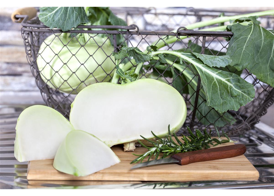 Kohlrabi 'Superschmelz'