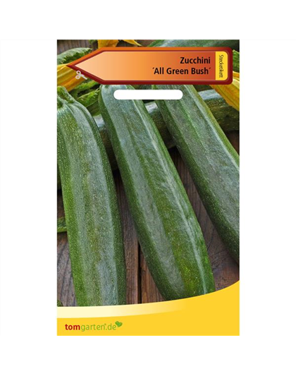 Zucchini 'All Green Bush'