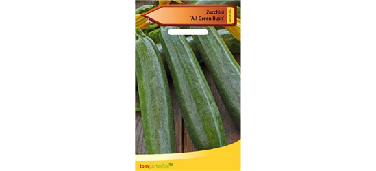 Zucchini 'All Green Bush'