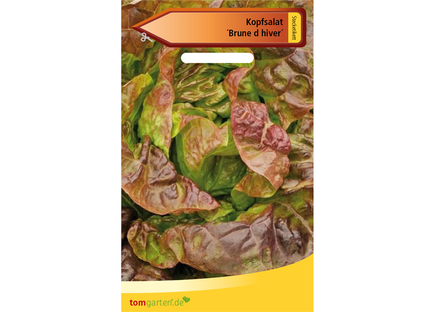 Kopfsalat 'Brune d´hiver'