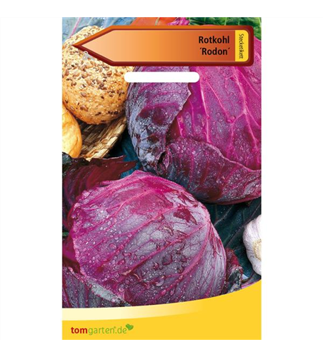 Rotkohl 'Rodon'