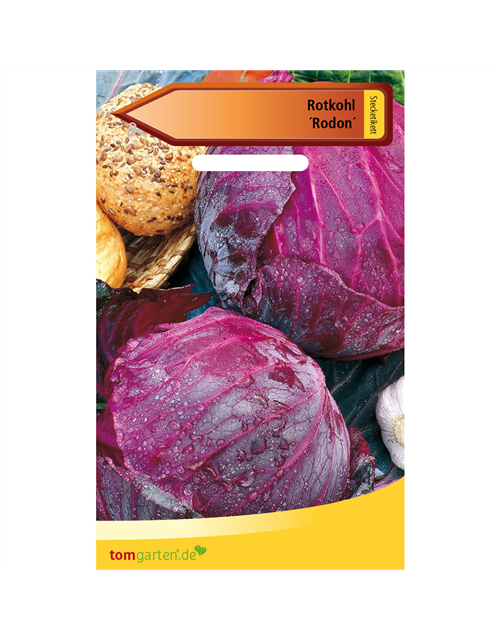 Rotkohl 'Rodon'