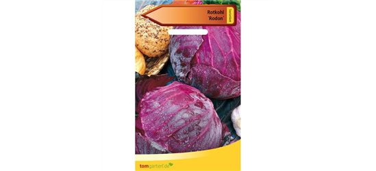 Rotkohl 'Rodon'