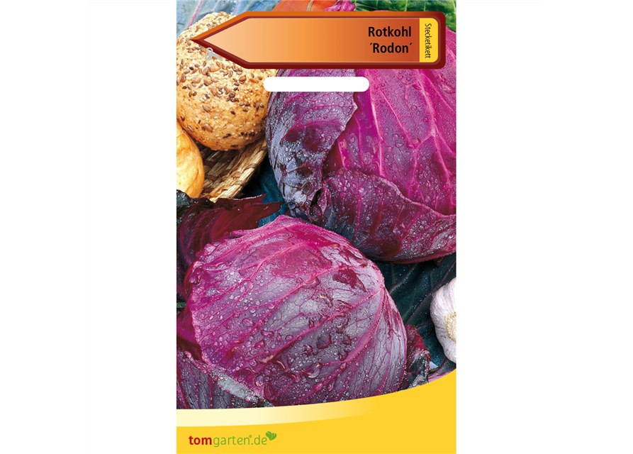 Rotkohl 'Rodon'