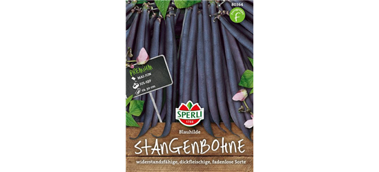 Stangen-Bohne 'Blauhilde'