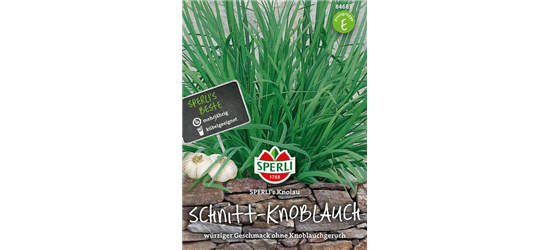 Schnittknoblauch 'Knolau'