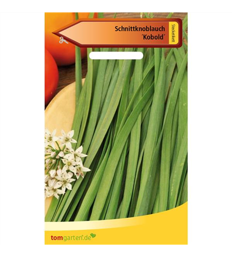 Schnittknoblauch 'Knobold'