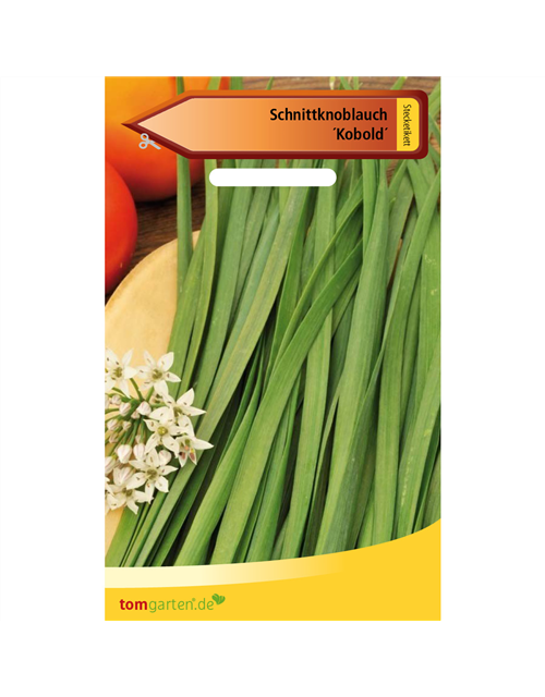 Schnittknoblauch 'Knobold'