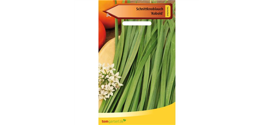 Schnittknoblauch 'Knobold'