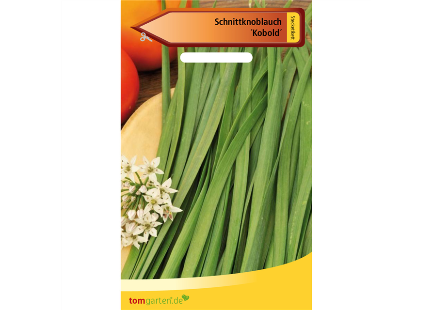 Schnittknoblauch 'Knobold'