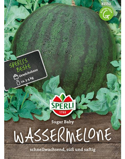 Kompakte Wassermelone 'Sugar Baby'