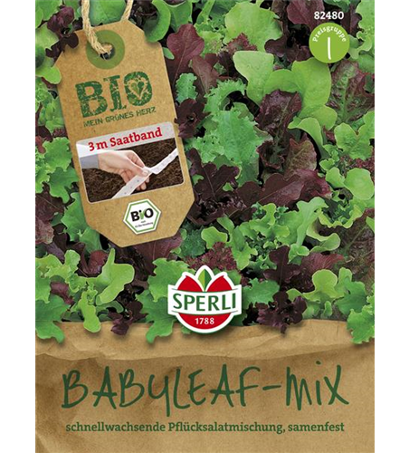 Babyleaf-Salat