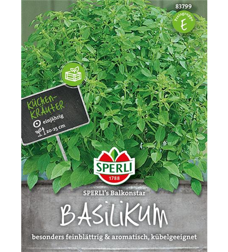 Garten-Basilikum 'Balkonstar'