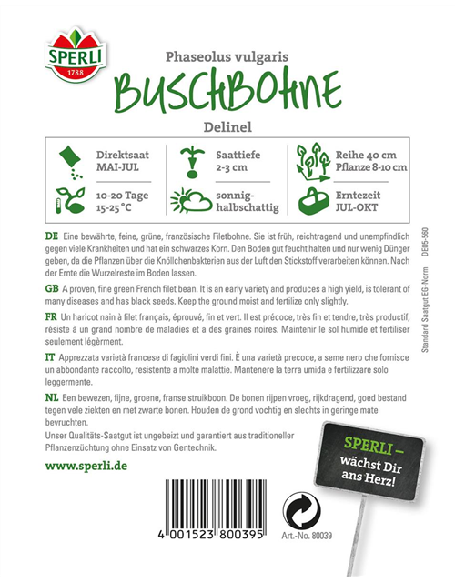 Busch-Bohne 'Delinel'