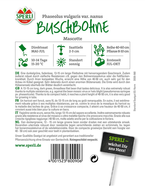 Buschbohne 'Mascotte'