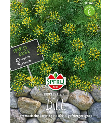 Dill 'Elefant'