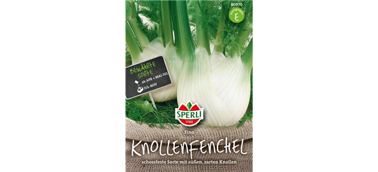 Knollenfenchel 'Fino'