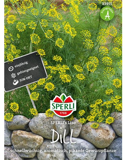 Dill 'Liso'