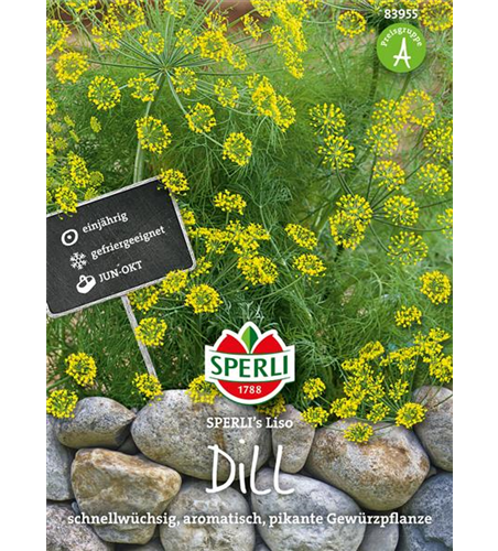 Dill 'Liso'