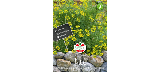 Dill 'Liso'