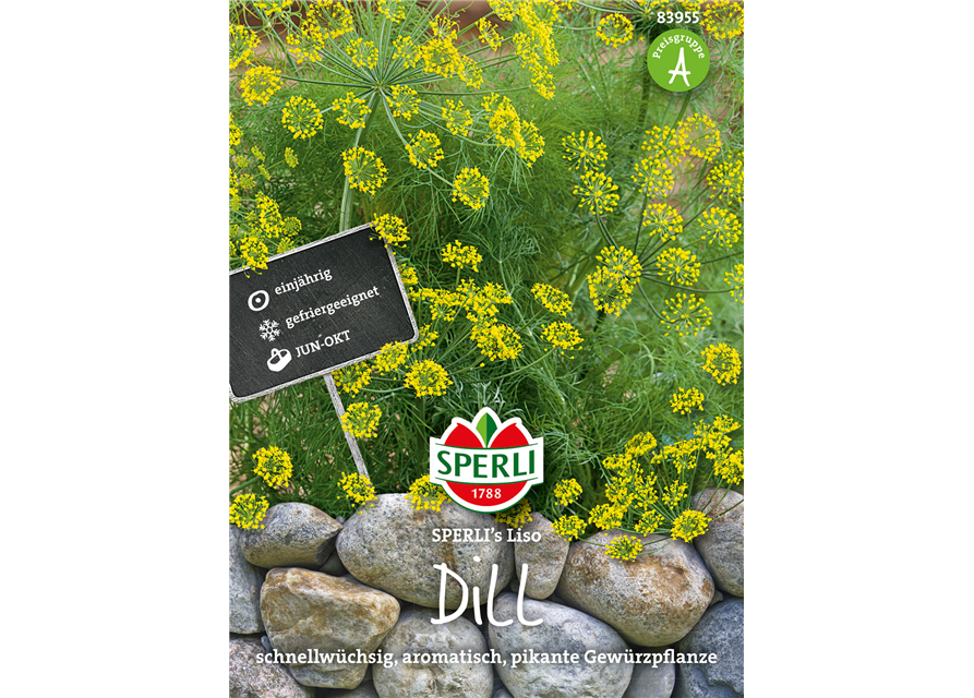 Dill 'Liso'