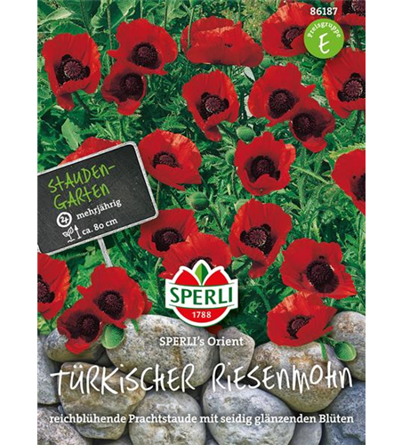 Türkischer Riesenmohn 'Orient'