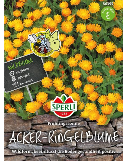 Acker-Ringelblume 'Frühlingssonne'