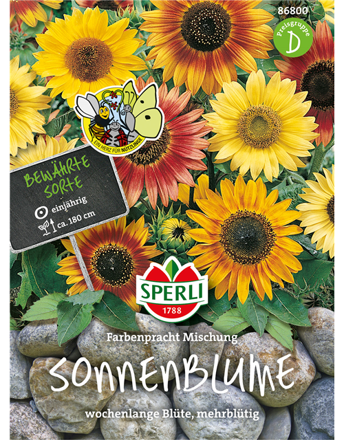 Sonnenblume