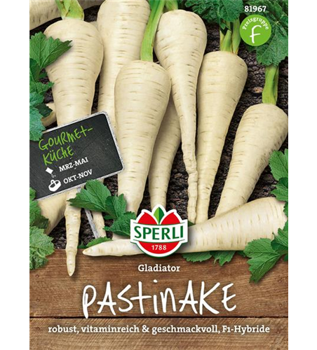 Pastinake 'Gladiator F1'