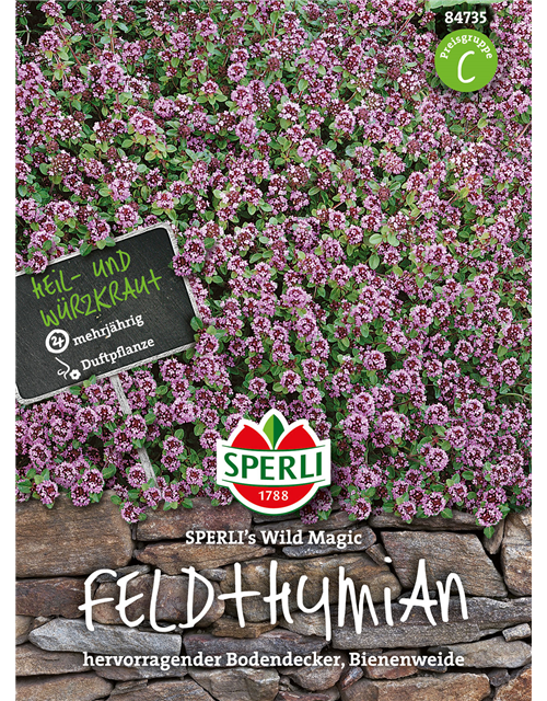 Feldthymian 'Wild Magic'