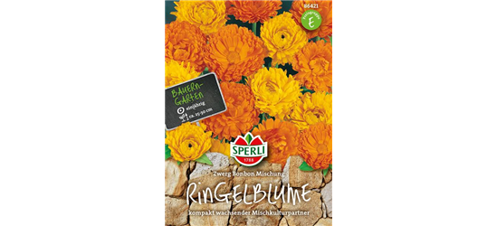 Ringelblume 'Zwerg Bonbon Mischung'