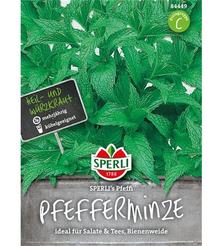 Pfefferminze 'Pfeffi'