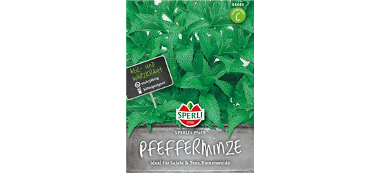 Pfefferminze 'Pfeffi'