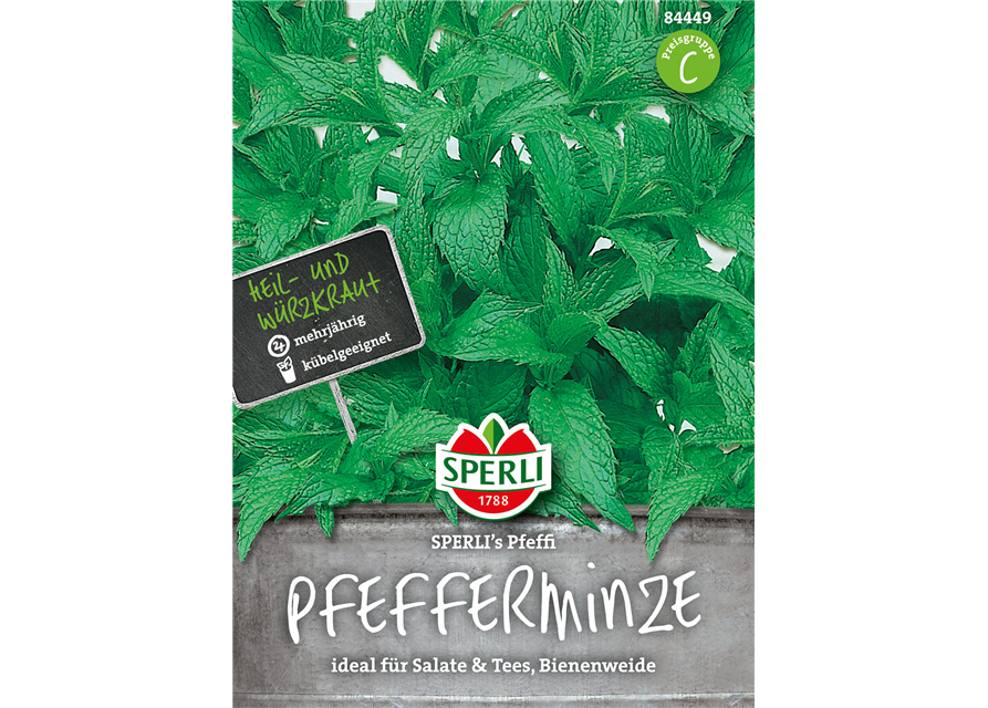 Pfefferminze 'Pfeffi'