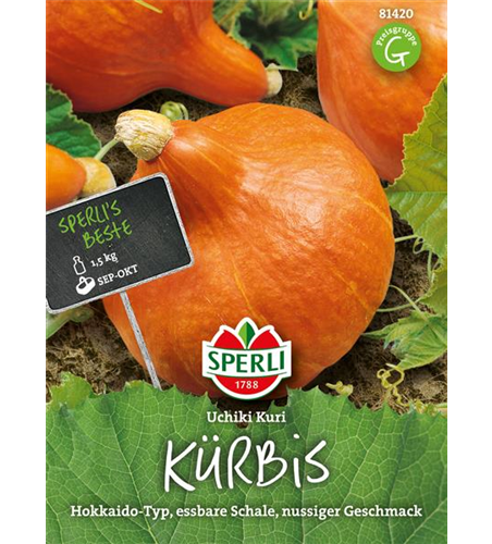 Kürbis 'Uchiki Kuri'