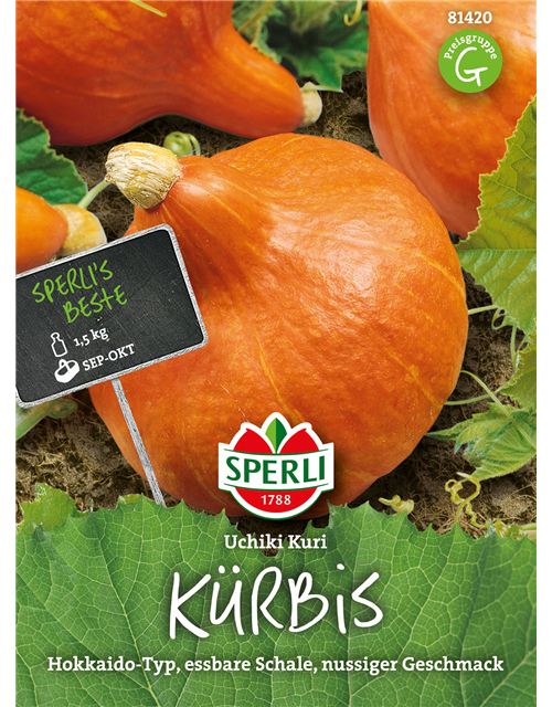 Kürbis 'Uchiki Kuri'