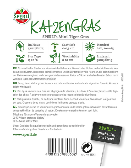 Katzengras