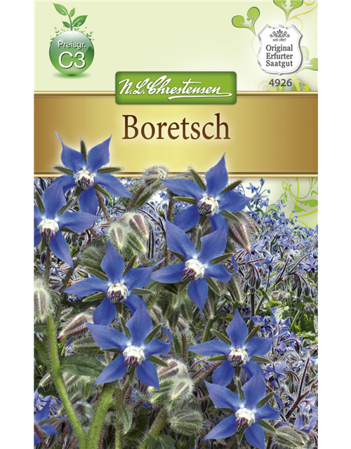 Borretschsamen