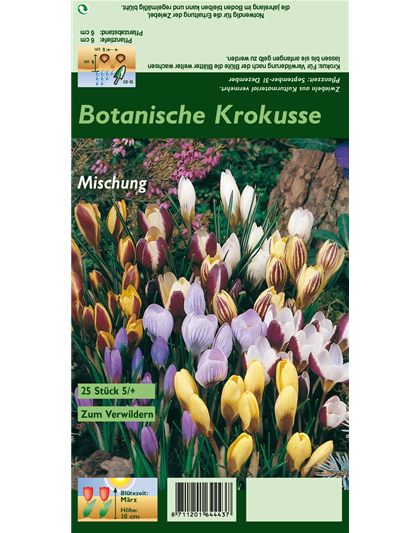 Botanische Krokusse